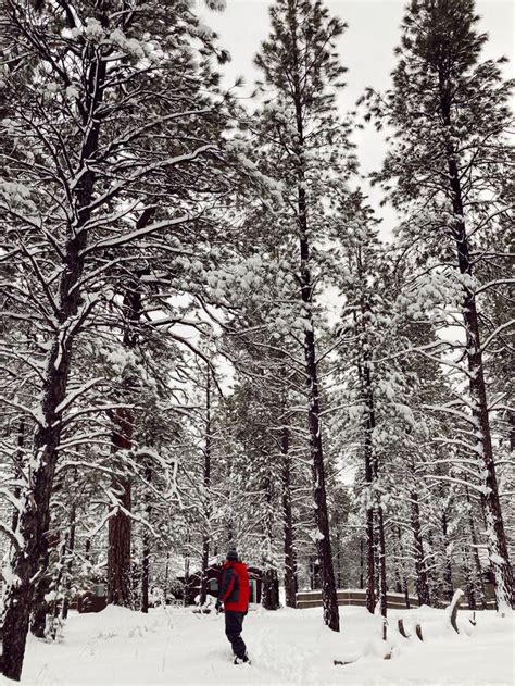 📍Flagstaff, AZ | Skiing, Outdoor, Winter