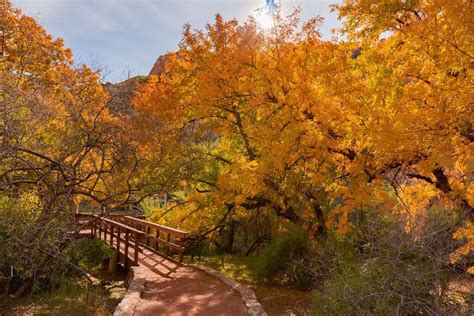 Find out when the leaves will change color in arizona with this interactive fall foliage map ...