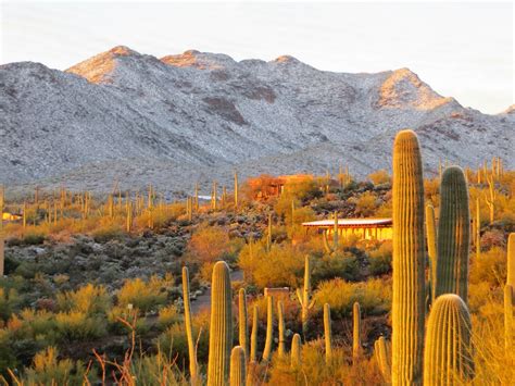 Arizona Geology: A white new year's in the Tucson Mountains