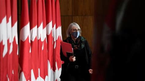 Canada wants ‘robust’ investigation into origins of COVID-19: Health Minister Hajdu | paNOW