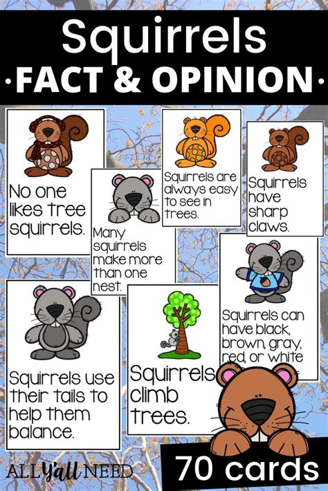 Squirrels Fact and Opinion | Fact and opinion, Squirrel appreciation day, School year themes