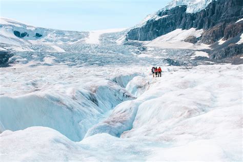 Group Ice walk at Athabasca Glacier | Tourism Jasper