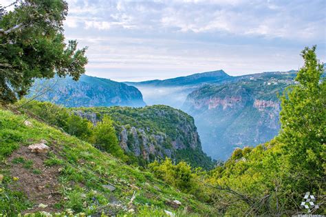 We Are Lebanon | Lebanon, Nature view, Stunning view