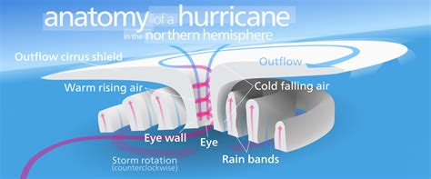 Tropical definitions: Terms you should know