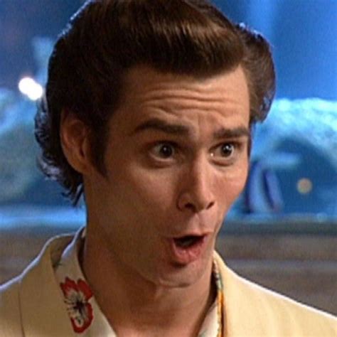 Ace ventura pet detective jr - mobisubtitle