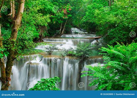 Waterfall In Fresh Green Forest Stock Photo - Image: 26342800