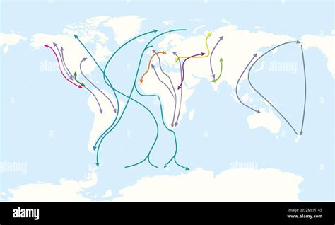 Carte des migrations d'oiseaux dans le monde Photo Stock - Alamy