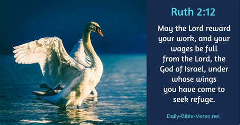 Daily Bible Verse | The Bible and Money | Ruth 2:12 (NASB)