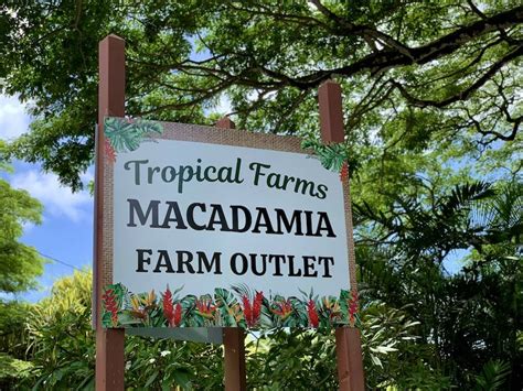 Tropical Farms Macadamia Nut Farm Tour Oahu