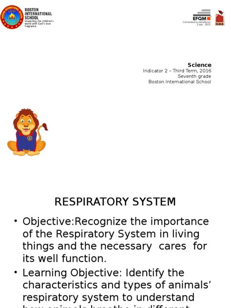 Respiration in animals | Lung | Respiratory System