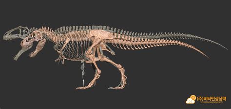 ArtStation - Giganotosaurus & Tyrannosaurus skeleton by. Vitamin Imagination , Vitamin ...