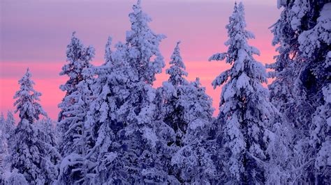 Download Snow Sky Sunset Nature Winter HD Wallpaper
