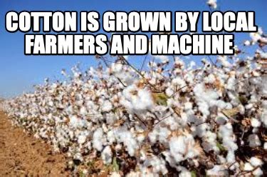 Meme Creator - Funny Cotton is grown by local farmers and machine Meme Generator at MemeCreator.org!