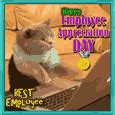 Employee Appreciation Day Cards, Free Employee Appreciation Day Wishes | 123 Greetings