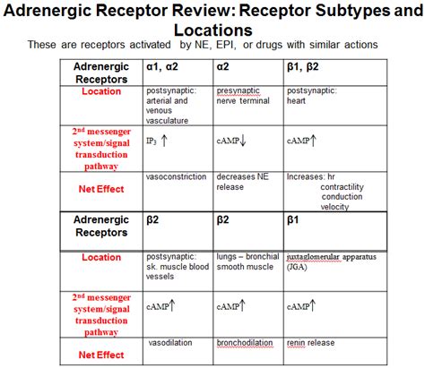 medskul: Adrenergic Receptors & Function