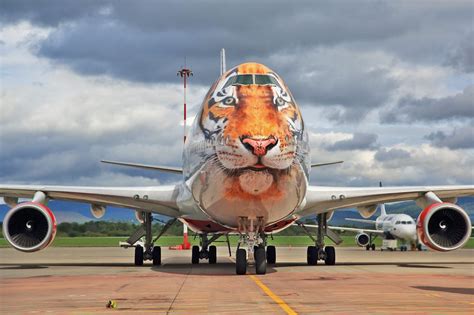 The 7 Coolest Airplane Liveries in the World and the Stories Behind ...