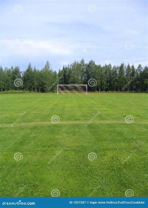 Midfield Of Grass Soccer Stadium Field With Headlights Royalty-Free ...