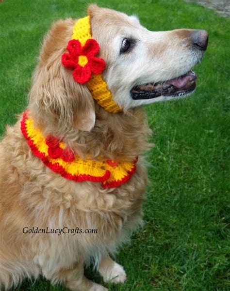 Crochet Dog Collar and Headband, Free Crochet Pattern - GoldenLucyCrafts