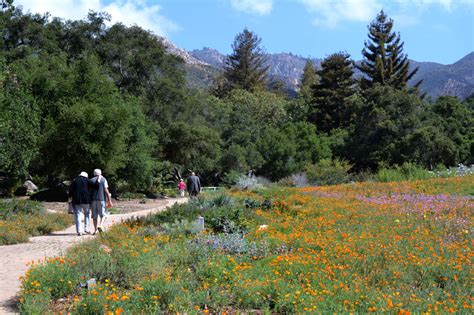 Santa Barbara Botanic Garden - Visit Santa Barbara