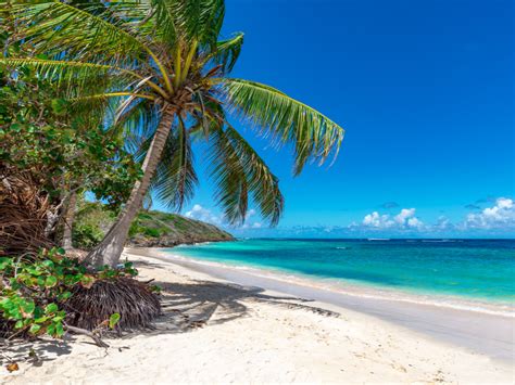 Top 10 des plus belles plages des Caraïbes - Chéri fais tes valises