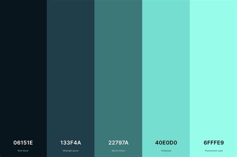 25+ Best Black Color Palettes with Names and Hex Codes in 2024 | Black color palette, Turquoise ...