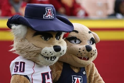 Pin on Pac-12 Mascots