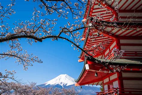 54 Best Things to Do in Japan for an Unforgettable Trip