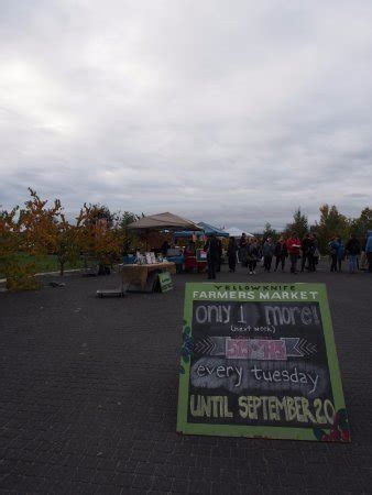 Yellowknife City Hall & Park - All You Need to Know Before You Go ...