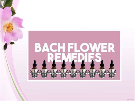 Bach Flowers for Anxiety and Depression - www.thebachflowerremedies.com