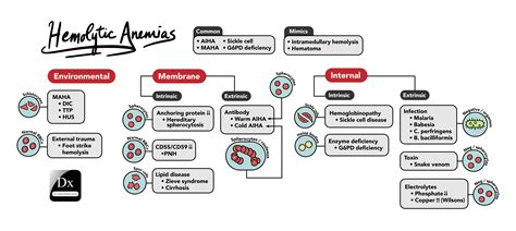 Hemolytic anemias 2-page-001 – The Clinical Problem Solvers