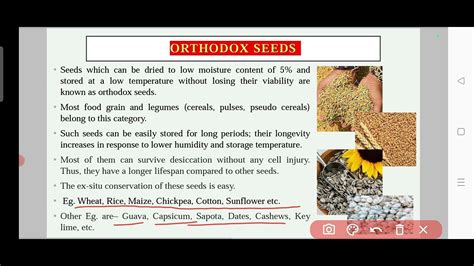 Orthodox seeds and Recalcitrant seeds|Seeds types|Difference between orthodox and Recalcitrant ...