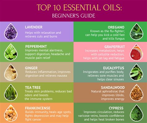 Top 10 Essential Oils: The Complete Beginners Guide - Viral Rang