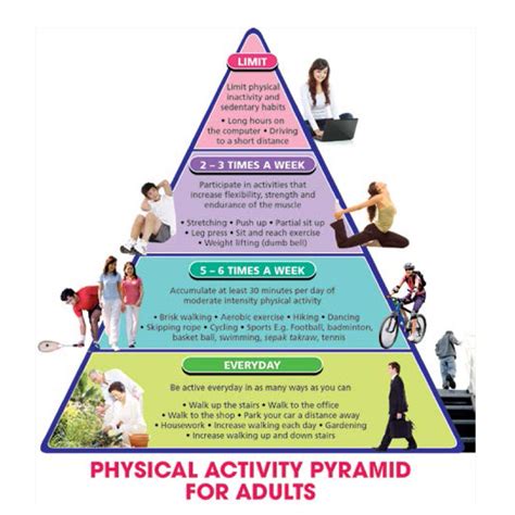 Free Philippine Physical Activity Pyramid Ideas | Exercises to Belly Fat