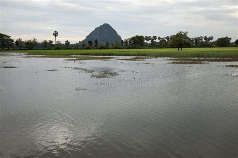 Beautiful Nature Landscape View in Myanmar Stock Image - Image of lake ...