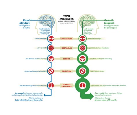 Knowing Your Mindset: Fixed vs. Growth - Lavendaire