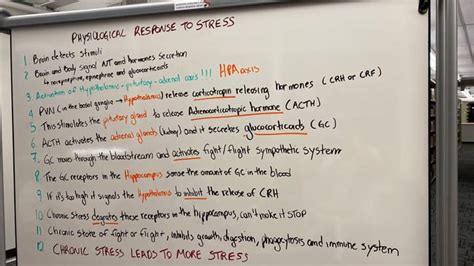 Physiological response to stress in 10 steps : r/Physiology