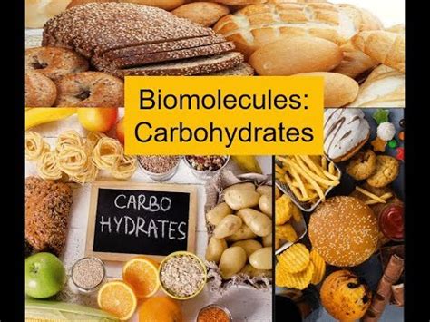 Biomolecules - Carbohydrates - YouTube