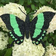 220 Crochet butterflies ideas in 2022 | crochet butterfly, crochet, crochet butterfly pattern