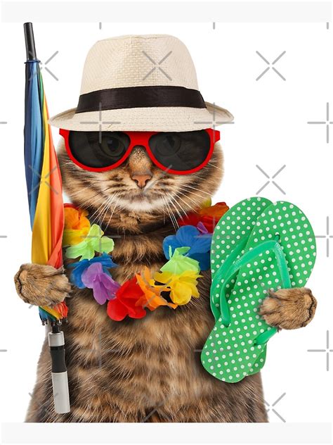 "hi funny cat meme" Poster for Sale by OZMOclothing | Redbubble