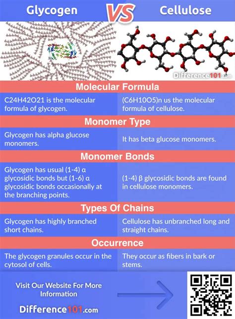 Cellulose and Starch Are Examples of Which of the Following