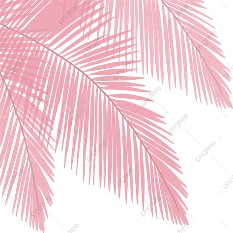 Palm Leaf Shadow PNG Picture, Palm Leaf Pink Botanical Art Shadow ...