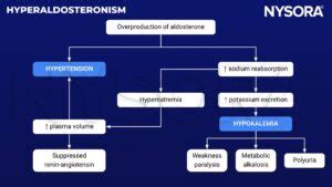 Hyperaldosteronism - NYSORA