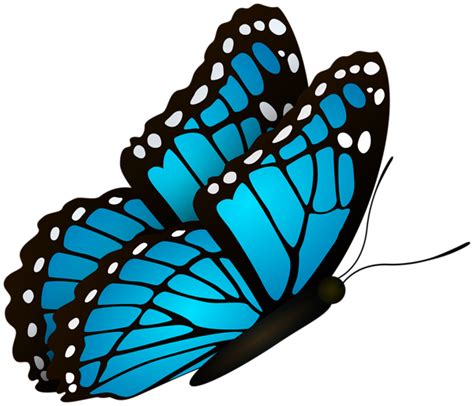Blue Butterfly Clipart