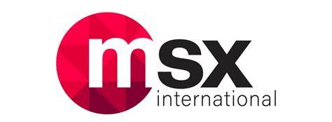 Karrier Iroda | Automative Warranty Support Engineer - MSX International