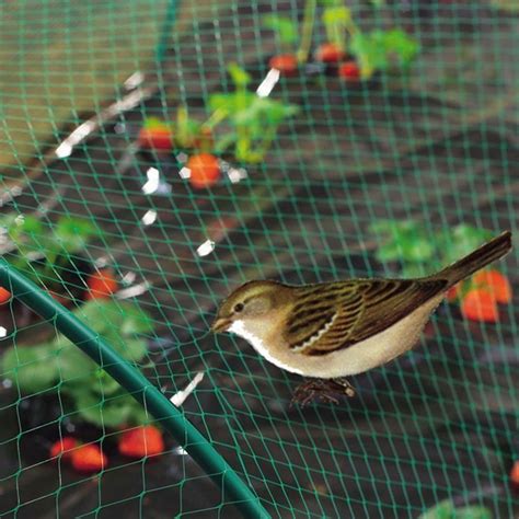 Bird net – Farmers Market Kenya