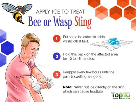 How to Treat a Bee or Wasp Sting | Top 10 Home Remedies