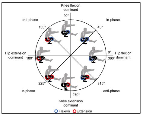 Single Leg Squat Assessment