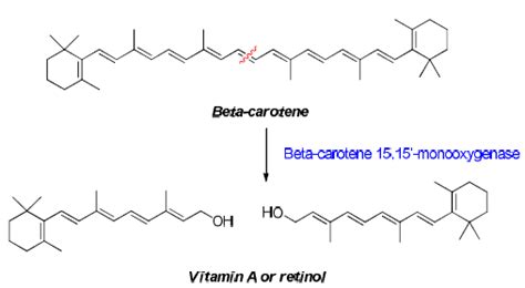 The Chemistry of Vitamins