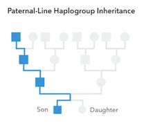 Paternal Haplogroups - Haplogroup Inheritance – 23andMe Customer Care