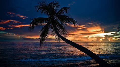 Image result for black and white beach | Beach at night, Beach ...